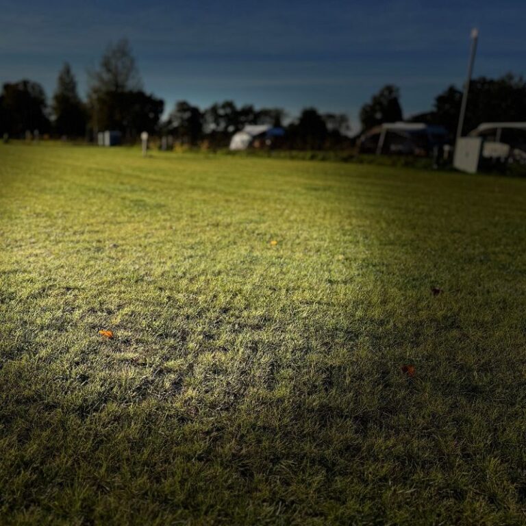 Græsarmering på en campingplads i Holland (6)